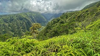 Waihee Ridge Trail - Maui Hawaii 2024