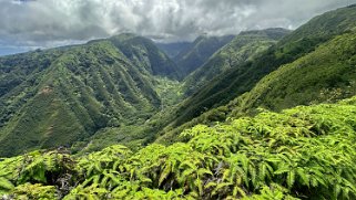 Waihee Ridge Trail - Maui Hawaii 2024