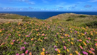 Acid War Zone Trail - Maui Hawaii 2024