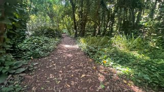 Honolua Bay Trail - Maui Hawaii 2024