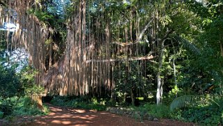 Honolua Bay Trail - Maui Hawaii 2024