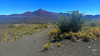 Haleakala National Park - Maui Hawaii 2024