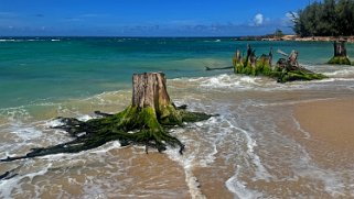 Baldwin Beach - Maui Hawaii 2024