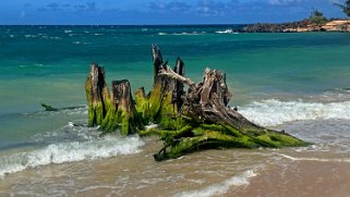 Baldwin Beach - Maui Hawaii 2024