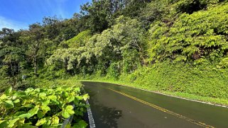 Hana Highway - Maui Hawaii 2024