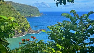 Hana Highway - Maui Hawaii 2024