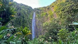 Waimoku Fall - Maui Hawaii 2024