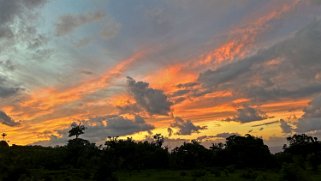 Hana Highway - Maui Hawaii 2024