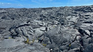 Queens Bath - Pahoa - Big Island Hawaii 2024