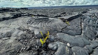 Queens Bath - Pahoa - Big Island Hawaii 2024