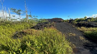 Fissure 8 - Pahoa - Big Island Hawaii 2024