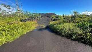 Fissure 8 - Pahoa - Big Island Hawaii 2024