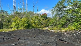 Fissure 8 - Pahoa - Big Island Hawaii 2024