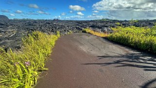 Fissure 8 - Pahoa - Big Island Hawaii 2024