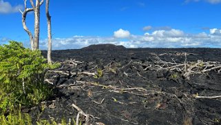 Fissure 8 - Pahoa - Big Island Hawaii 2024