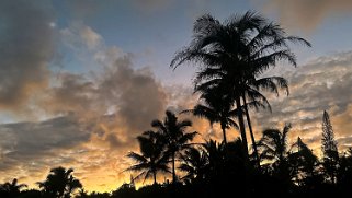 Kahakai Park - Pahoa - Big Island Hawaii 2024