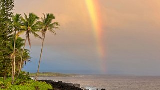 Kahakai Park - Pahoa - Big Island Hawaii 2024