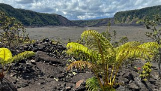 Kilauea Iki - Big Island Hawaii 2024