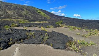 Chain of Craters Road - Big Island Hawaii 2024