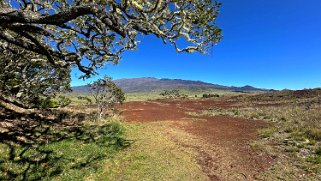 Pu'u Huluhulu - Big Island Hawaii 2024