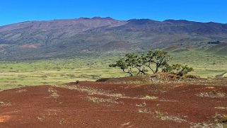 Pu'u Huluhulu - Big Island Hawaii 2024