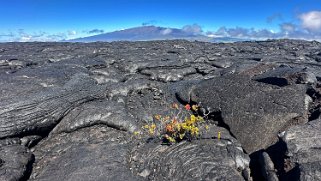 Mauna Loa Road - Big Island Hawaii 2024