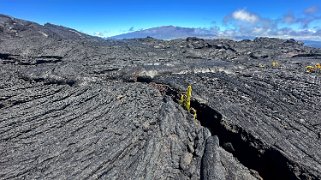 Mauna Loa Road - Big Island Hawaii 2024