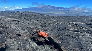 Mauna Loa Road - Big Island Hawaii 2024