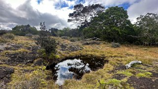 Pu'u O'o - Big Island Hawaii 2024