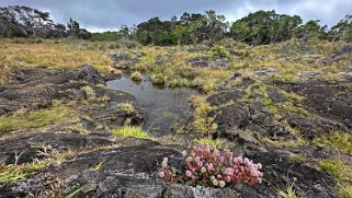 Pu'u O'o - Big Island Hawaii 2024