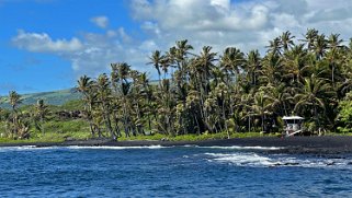 Punaluʻu Beach - Big Island Hawaii 2024