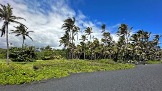 Punaluʻu Beach - Big Island Hawaii 2024