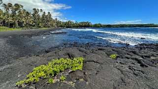 Punaluʻu Beach - Big Island Hawaii 2024