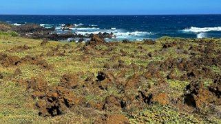 Papakolea Green Sand Beach - Big Island Hawaii 2024