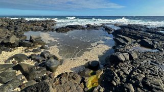 Southernmost US Point - Big Island Hawaii 2024