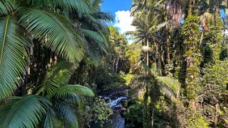 Honoli'i Beach - Big Island Hawaii 2024