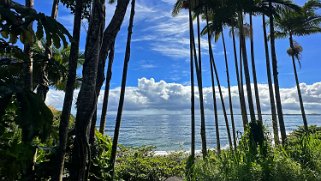 Honoli'i Beach - Big Island Hawaii 2024