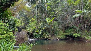 Onomea Bay - Big Island Hawaii 2024