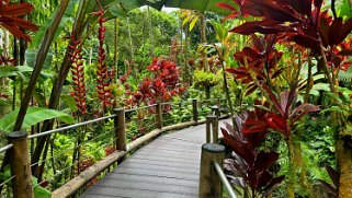 Hawaii Tropical Botanical Garden – Big Island Hawaii 2024