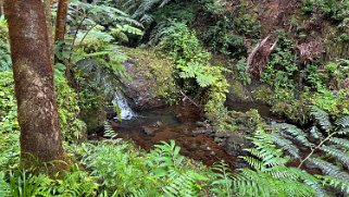 Hawaii Tropical Botanical Garden – Big Island Hawaii 2024