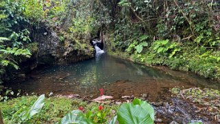 Hawaii Tropical Botanical Garden – Big Island Hawaii 2024