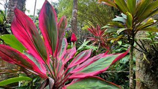 Hawaii Tropical Botanical Garden – Big Island Hawaii 2024