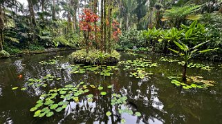 Hawaii Tropical Botanical Garden – Big Island Hawaii 2024