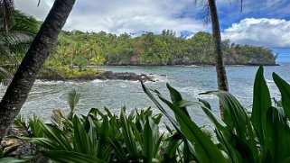 Onomea Bay - Big Island Hawaii 2024