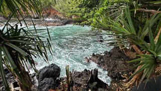 Onomea Bay - Big Island Hawaii 2024