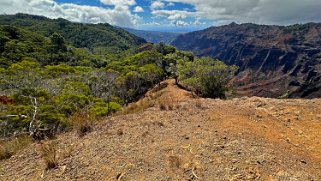 Waimea Canyon State Park - Kauai Hawaii 2024