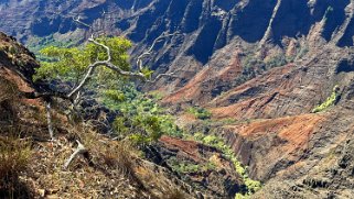 Waimea Canyon State Park - Kauai Hawaii 2024