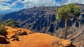 Waimea Canyon State Park - Kauai Hawaii 2024