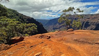 Waimea Canyon State Park - Kauai Hawaii 2024