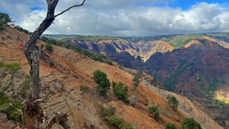 Waimea Canyon State Park - Kauai Hawaii 2024